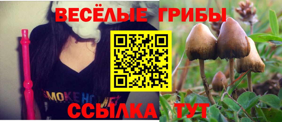 Новокузнецк  Псилоцибиновые грибы Psilocybine cubensis  Вход с VPN 